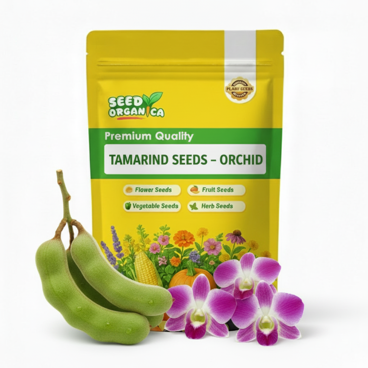 Tamarind Seeds – Orchid