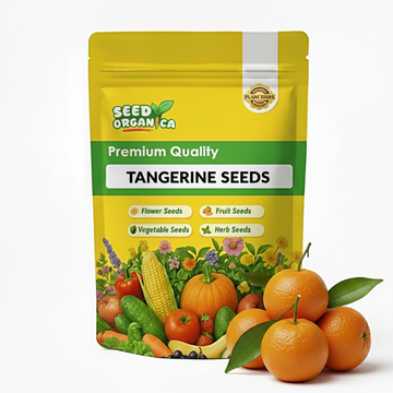 Tangerine Seeds
