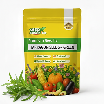 Tarragon Seeds – Green