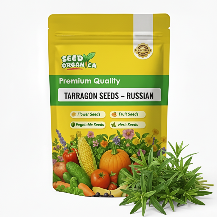 Tarragon Seeds – Russian