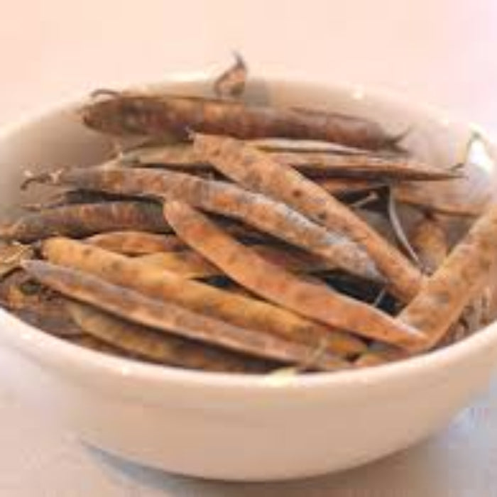Tepary Bean Seeds – Brown