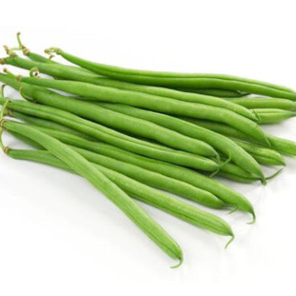 Tepary Bean Seeds – Green