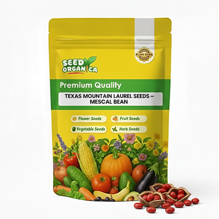 Texas Mountain Laurel Seeds – Mescal Bean