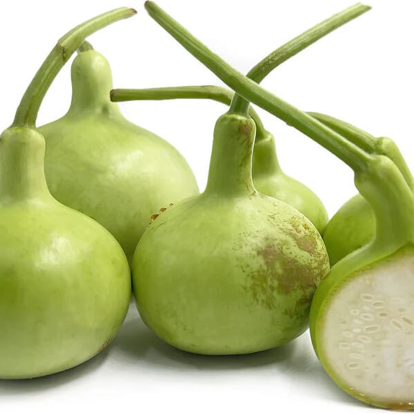 Thai Bottle Gourd Seeds 