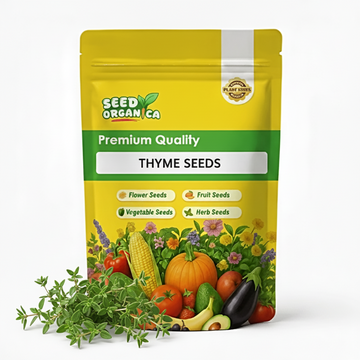 Thyme Seeds