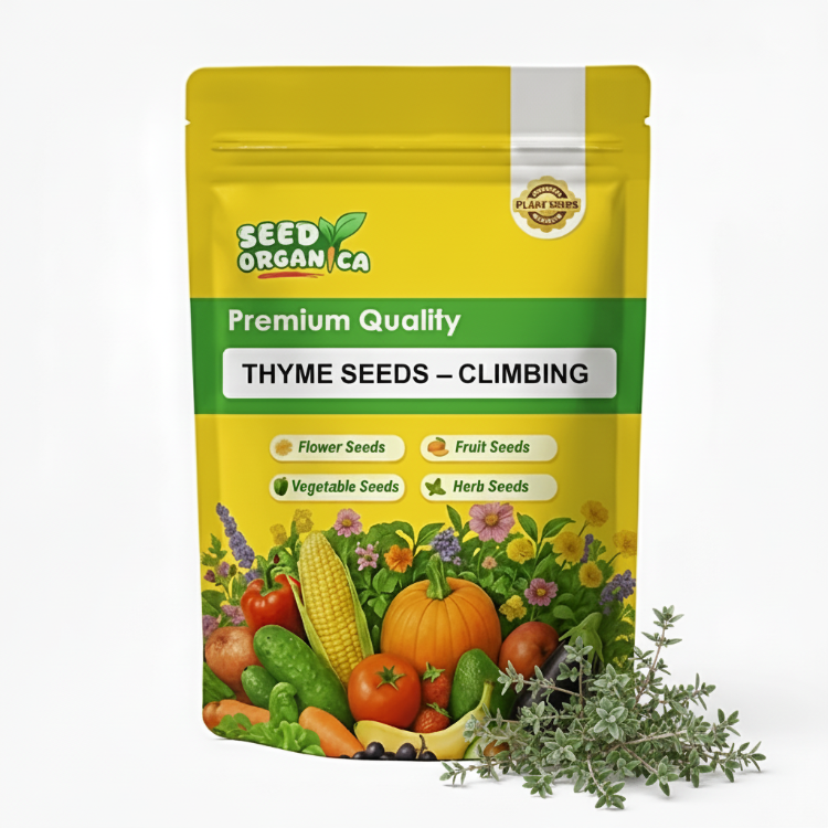 Thyme Seeds – Climbing