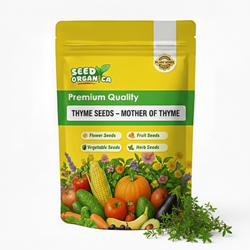 Thyme Seeds – Mother of Thyme