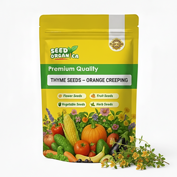 Thyme Seeds – Orange Creeping