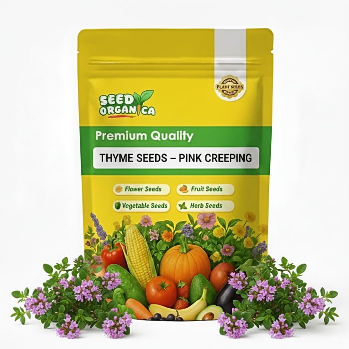 Thyme Seeds – Pink Creeping