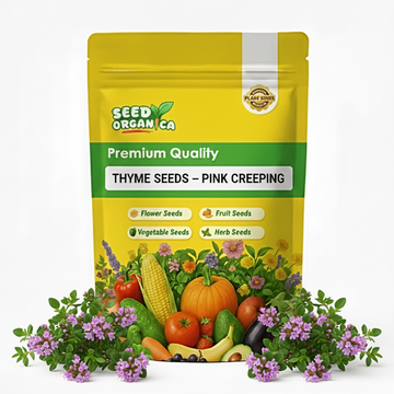Thyme Seeds – Pink Creeping