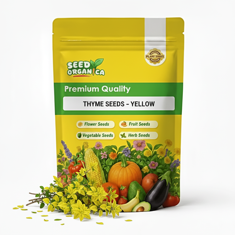 Thyme Seeds – Yellow