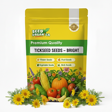 Tickseed Seeds – Bright