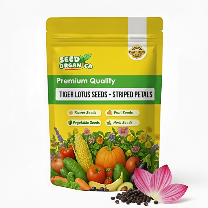 Tiger Lotus Seeds – Striped Petals