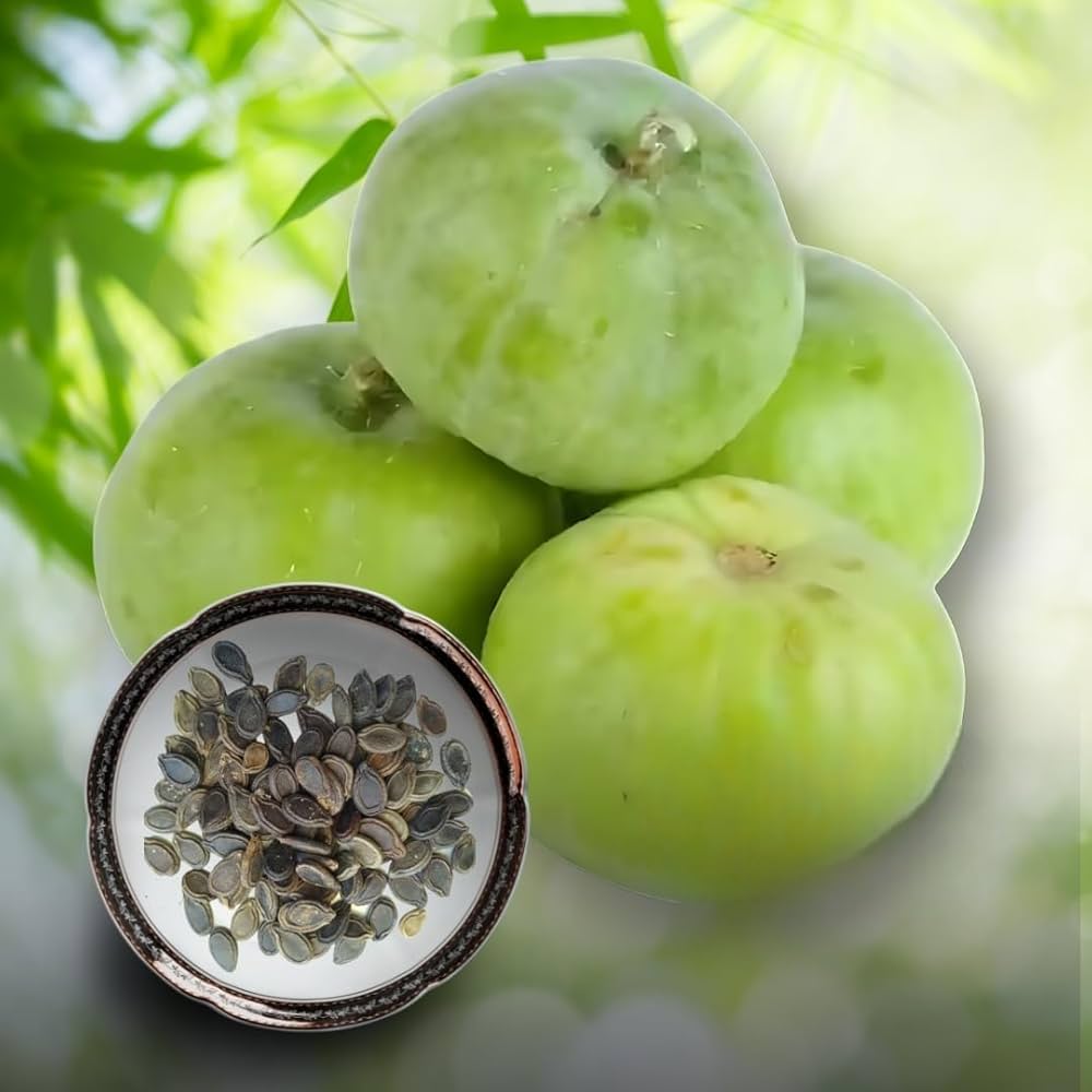 Tinda Seeds – Gourd
