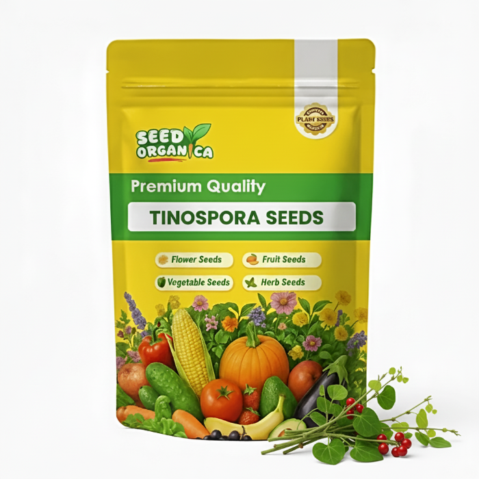 Tinospora Seeds