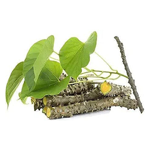 Tinospora Seeds 