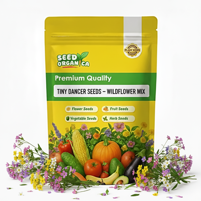 Tiny Dancer Seeds – Wildflower Mix