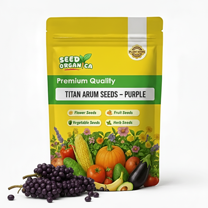 Titan Arum Seeds – Purple