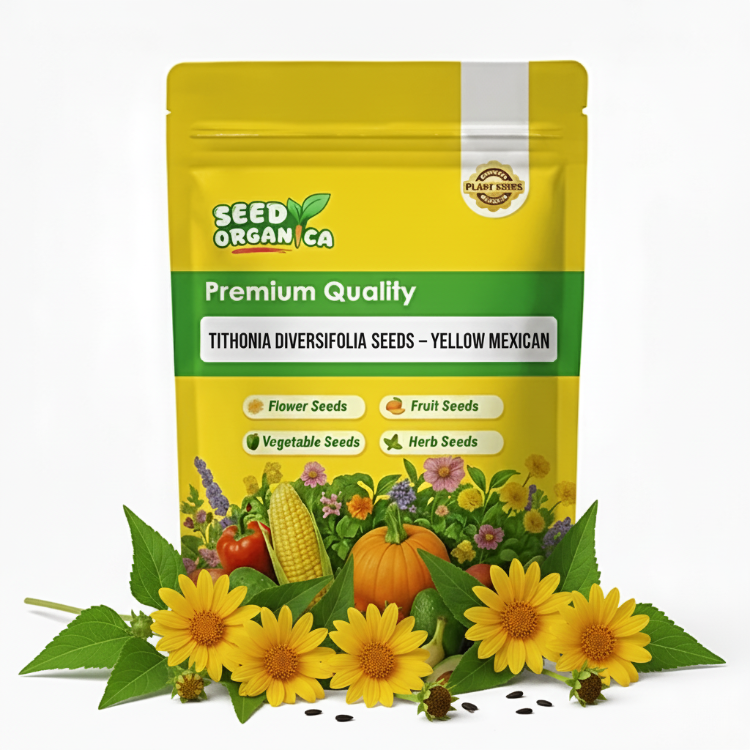 Tithonia Diversifolia Seeds – Yellow Mexican
