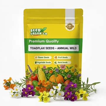 Toadflax Seeds – Annual Wild