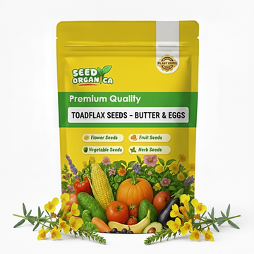 Toadflax Seeds – Butter & Eggs