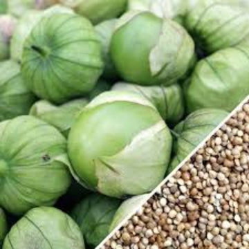 Tomatillo Seeds