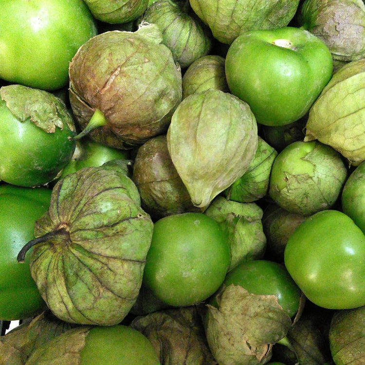 Tomatillo Seeds – Cream
