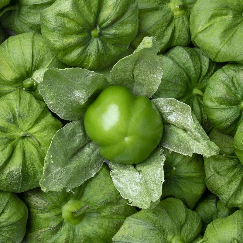 Tomatillo Seeds - All In One For Home Gardens