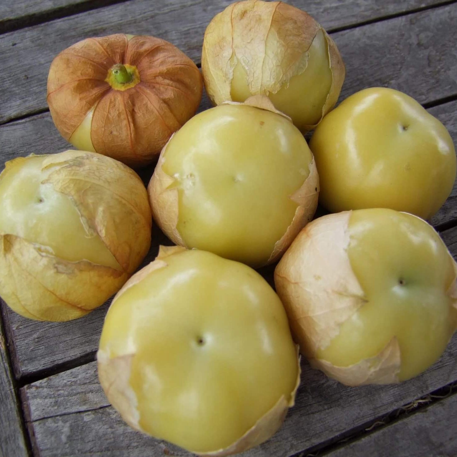 Tomatillo Seeds - Husk Light Yellow