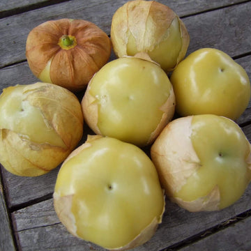 Tomatillo Seeds - Husk Light Yellow