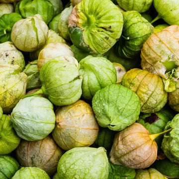 Tomatillo Seeds – Cream