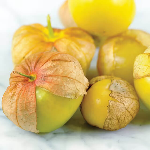 Tomatillo Seeds – Light Yellow