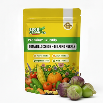 Tomatillo Seeds – Milpero Purple