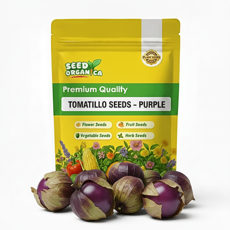 Tomatillo Seeds – Purple