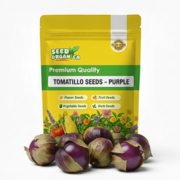 Tomatillo Seeds – Purple