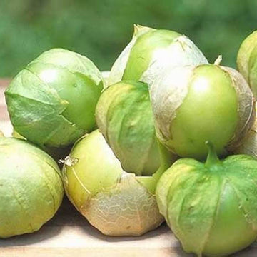 Tomatillo Seeds – Toma Verde