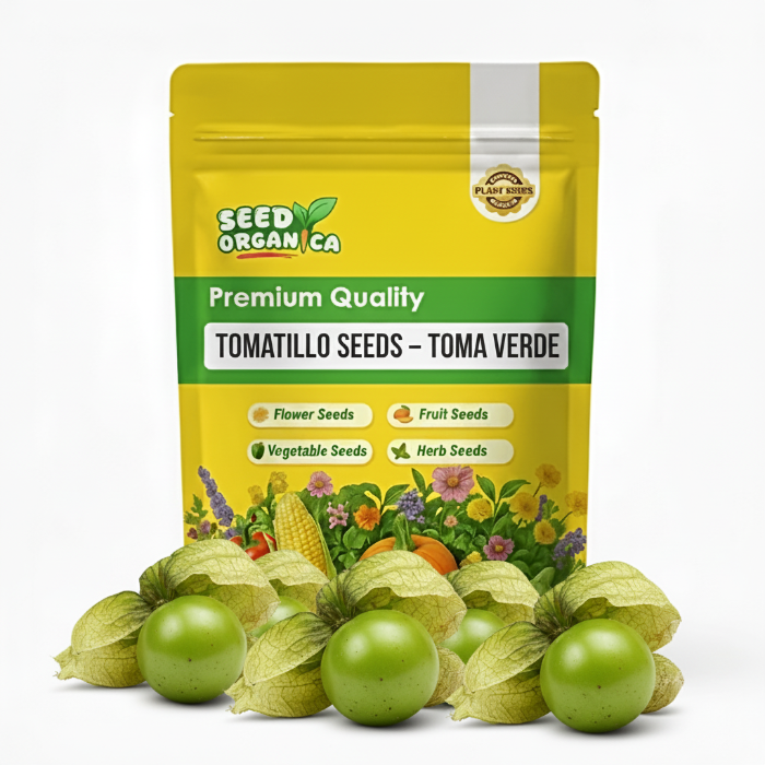 Tomatillo Seeds – Toma Verde