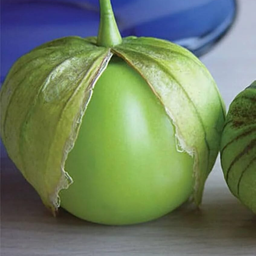 Tomatillo Seeds – Toma Verde