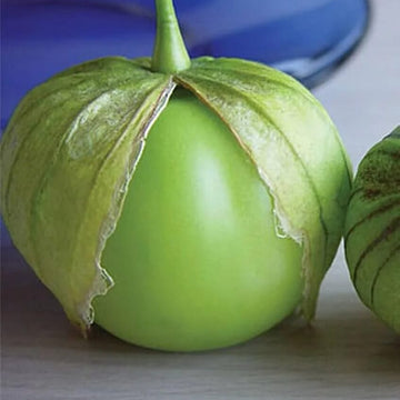 Tomatillo Seeds – Toma Verde