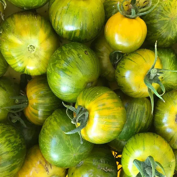 Tomato Seeds - Green Zebra, Heirloom