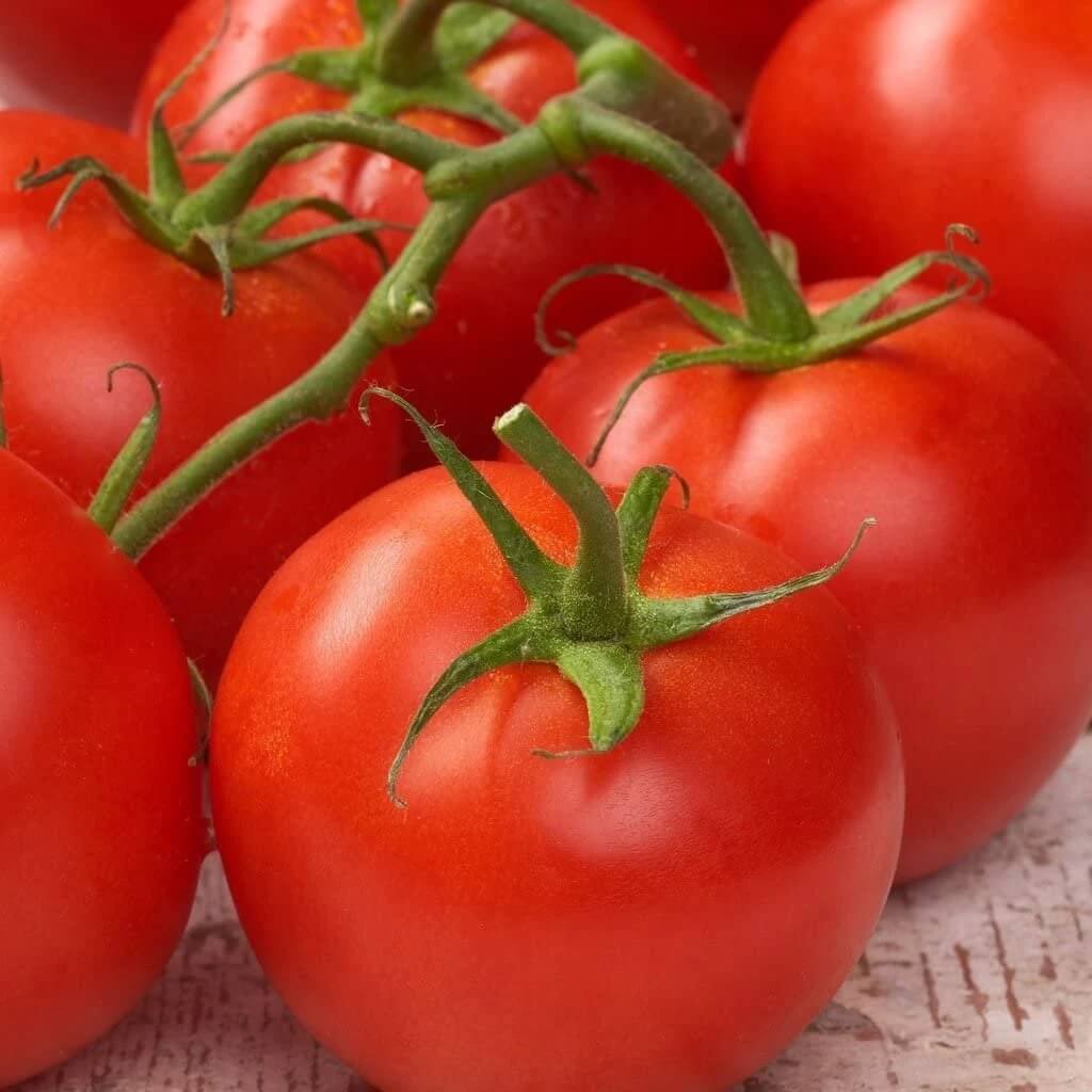 Tomato Seeds – Abe Lincoln
