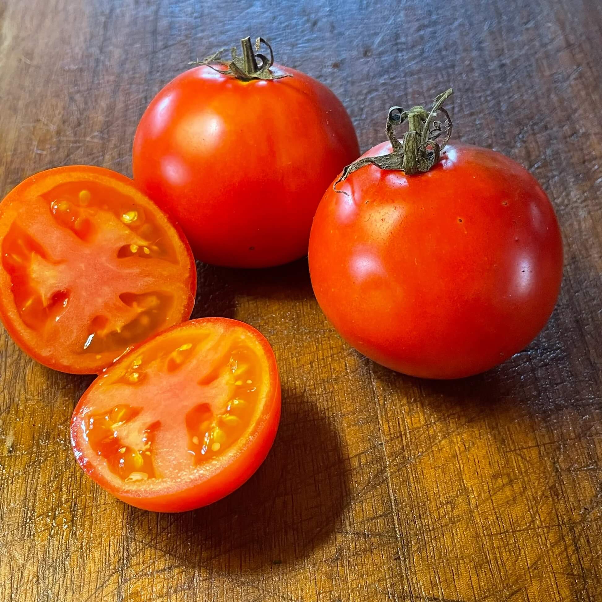 Tomato Seeds – Abe Lincoln