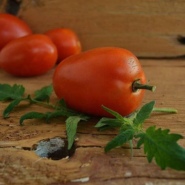 Tomato Seeds – Amish Paste