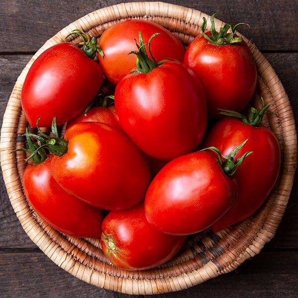 Tomato Seeds – Amish Paste