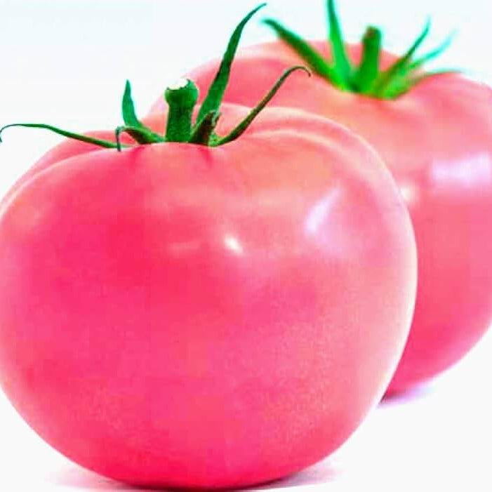 Tomato Seeds – Baby Pink