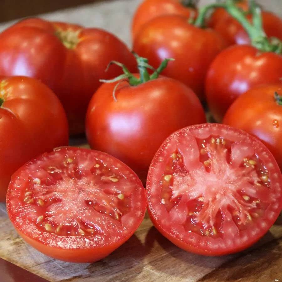 Tomato Seeds – Better Boy