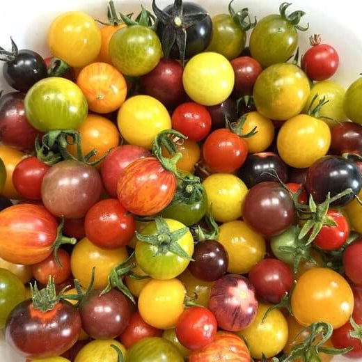 Tomato Seeds – Big Mixed Heirloom