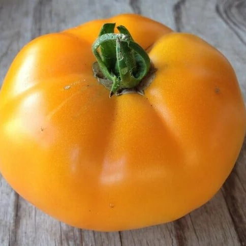 Tomato Seeds – Big Orange