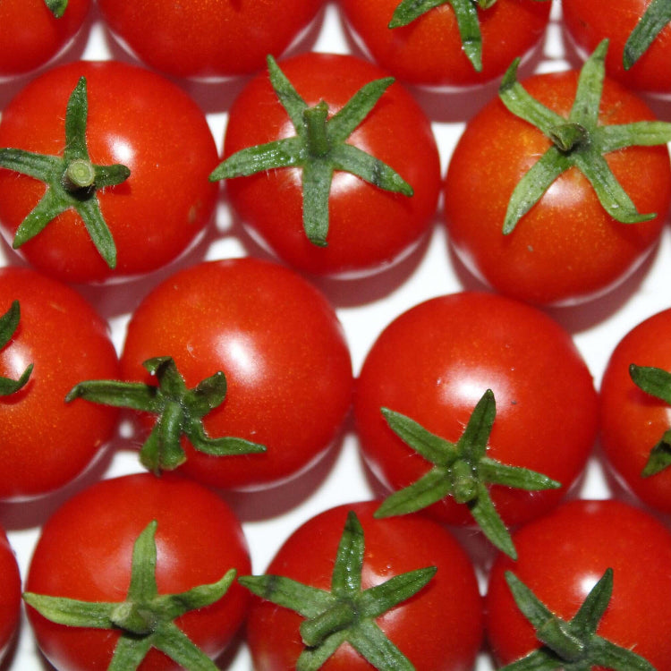Tomato Seeds – Birdie Rouge Red Cherry