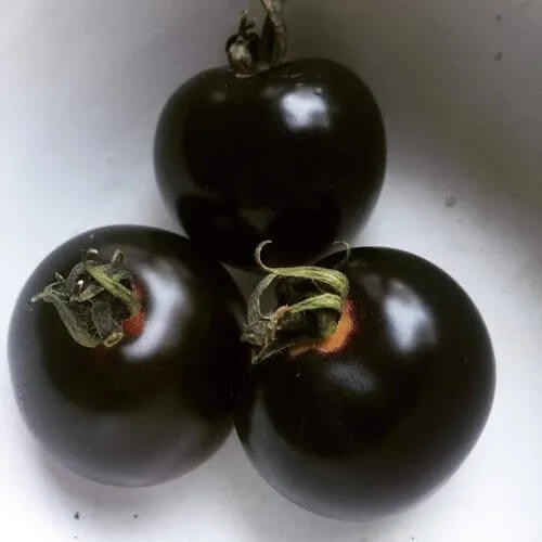 Tomato Seeds – Black